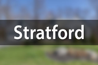 Active Listings in Stratford